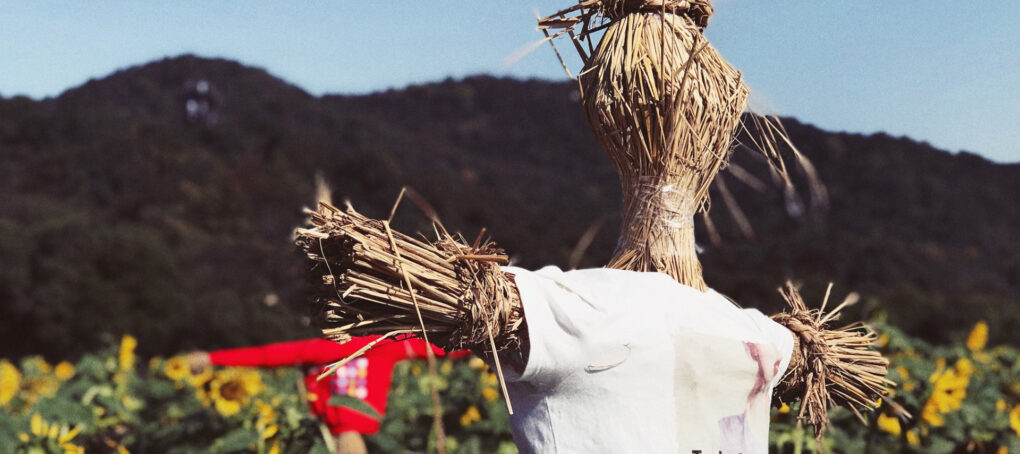 GIA Insurance Brokers - Farmers: You might need more than a scarecrow to protect your farm this harvest thumbnail