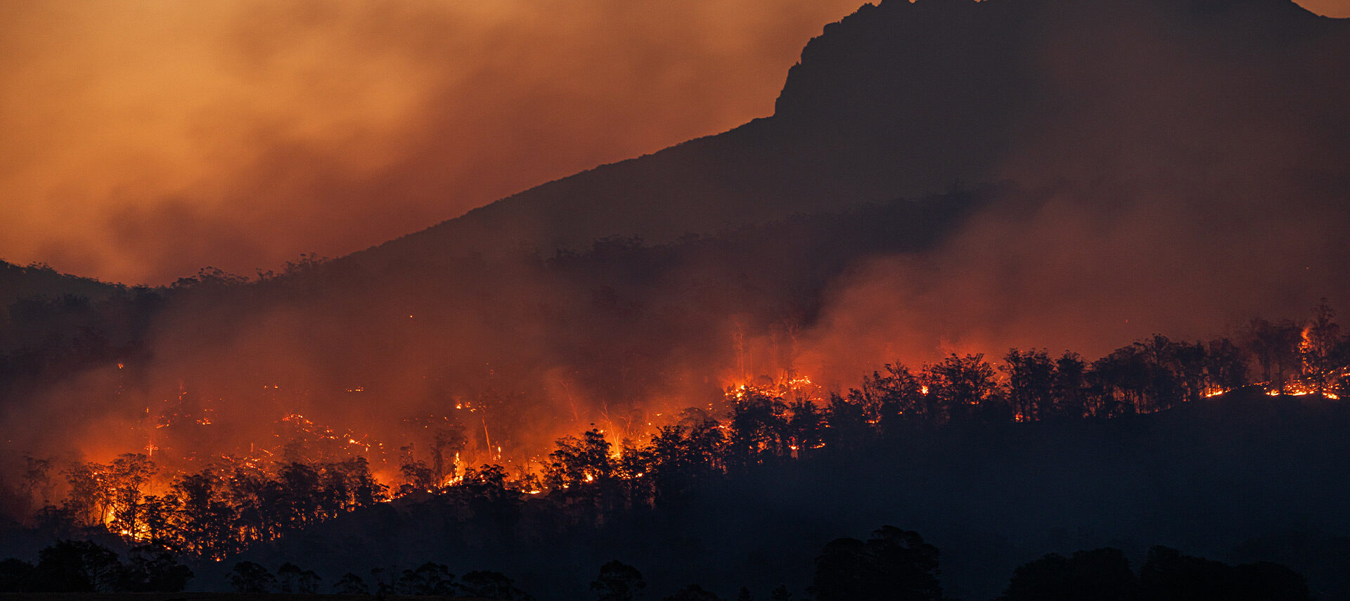 GIA Insurance Brokers - Prepare for bushfire season and protect your business Header Image