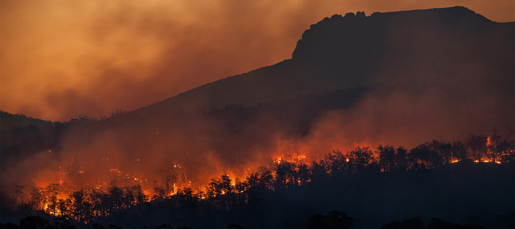 GIA Insurance Brokers - Tools & Tips to Handle Summer Weather Risks Effectively thumbnail